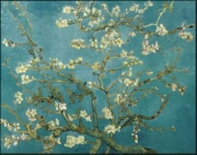 Tô Châu thêu DIY kit mới bắt đầu Van Gogh bức tranh hoa của chi nhánh Almond đầy thêu tim sơn lớn 65 * 51 - Bộ dụng cụ thêu