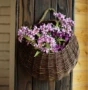 Bình dị wicker tường treo bình hoa bình hoa giỏ hoa nồi ban công hoa giá treo tường làm bằng tay nhà vườn chậu hoa cảnh