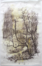 Контурный рисунок 中央美院 优秀学生作品 素描 风景写生