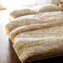 Xuân Thu bông vải chéo một mảnh 1,5m 1.8m dày đôi ký túc xá sinh viên độc thân là danh sách của toàn bộ vải - Khăn trải giường ga nệm