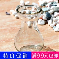 Hyacinth Glass Bottle Office Office Green Ротал Медный Кюрдин Кео бутылка для воды современная простая творческая прозрачная стеклянная ваза