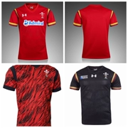 Bóng đá quần áo 2018 Welsh đội tuyển quốc gia nhà và đi Welsh rugby jersey quần áo bóng đá