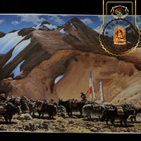 Кочевник из горы Красной Нианнонг Тан Гула бросился переместить як