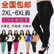 Quần size lớn cho nữ chất béo mm mùa thu mặc quần cạp cao 250 kg quần bút chì mỏng cộng với quần XL