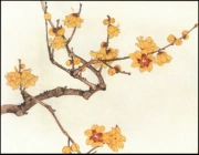 Tô Châu thêu hoa DIY kit mới bắt đầu tỉ mỉ mận nở 30 * 39 quà tặng cao cấp làm bằng tay vẽ tranh thêu - Bộ dụng cụ thêu