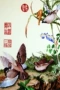 Su thêu thêu kit tự làm người mới bắt đầu vẽ tranh trang trí chim 30 * 45CM khăn tay thêu hoa