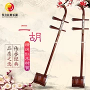 Gu Yin mới biểu diễn âm nhạc dân gian đàn dây đàn nhạc cụ dân tộc huqin người mới bắt đầu chơi trẻ em người lớn phổ quát