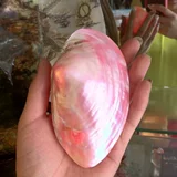 Натуральное зеленое украшение из жемчуга, аквариум