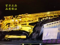 Оригинальная подлинная Yamaha Yamahacha Saxia Emozhun Yas-200dr/DT официальная регистрация