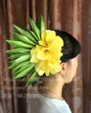 Гавайская современная травяная юбка для волос ювелирные изделия кокосовой ювелир