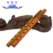 Vân Nam Shuizhu thẳng đứng 箫 箫 箫 24 24 24cm Tiếng kèn clarinet ngắn mới bắt đầu dễ thổi - Nhạc cụ phương Tây