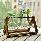 Креативная прозрачная глянцевая лампа для растений, современное свежее украшение для гостиной, простой и элегантный дизайн