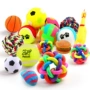 Pet puppy dog ​​toy ball vocal mol cắn đào tạo Teddy gấu con chó con mèo đồ chơi vật nuôi - Mèo / Chó Đồ chơi những đồ chơi cho chó	