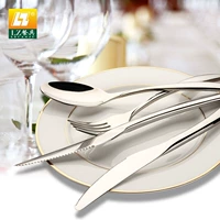 Costa High -End нержавеющая сталь стейк Scoop Spoon Dessert Coffee Spoon Spoon Western Food Fiece Thick Texture