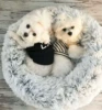 Товары от boy宠物潮牌