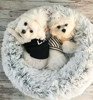 Ins net net red dog nest teddy barlin fa dou dou dou douno маленькая и маленькая комната для прикрытия.