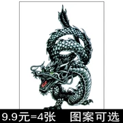 Trung quốc Longqing Black Dragon Nhãn Dán Hình Xăm Không Thấm Nước Nam Giới và phụ nữ Cánh Tay Hoa Cánh Tay Kéo Dài Mô Phỏng Tattoo Body Painting D087