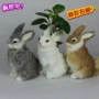 Mô phỏng thỏ rogue thỏ mẫu thỏ thật thỏ thủ công thỏ lớn thỏ trắng nhỏ thỏ trắng ba màu tùy chọn và miễn phí vận chuyển bộ đồ chơi búp bê