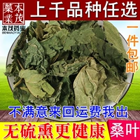 Шелковичная китайская трацентная медицина чистого натуральное дикое чай для туфте свежее грудотолока листья 500 граммов бесплатной доставки
