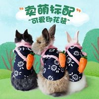 Кролик, модная милая одежда на четыре сезона, новая коллекция, домашний питомец, японские и корейские