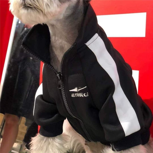 Осенний черный спортивный костюм, толстовка с молнией, куртка, популярно в интернете