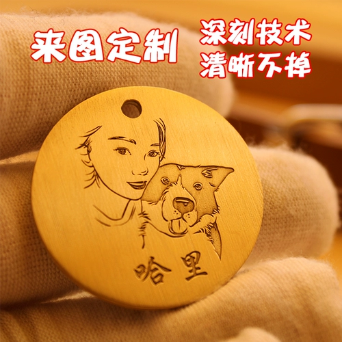 Индивидуальные фото собаки для предотвращения потери.