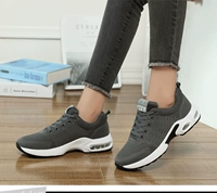 1713 Модель плотной серой пары