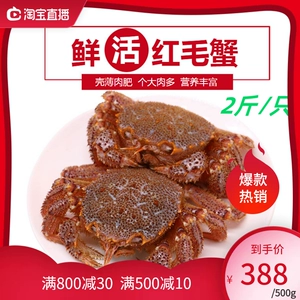Hokkaido Moso Crab Fresh Import Seafood Crab Япония Россия и Россия 2 фунта/кусок