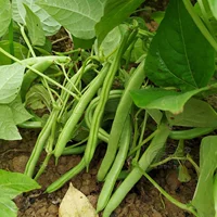 Farmhouse Doudou 500g простая установка