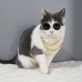 Ожерелье Большого Брата ~ Супер полишные собаки для питомца и кошачья золотая цепочка