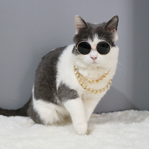 Ожерелье Большого Брата ~ Супер полишные собаки для питомца и кошачья золотая цепочка