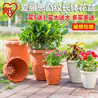 Alice Flow Long Mowl с рельефной цветочной горшкой цветочной горшок имитация керамика круглой смолы Пластиковый цветочный горшок растение