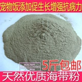 Черепаха Черепаха -GUM -GUMING WALP SEAWED PEARST PET CATS, собачья корм для птиц, добавленные добавки, увеличивают сопротивление без сопротивления доставки