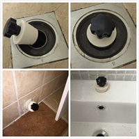 Щечка вонючий