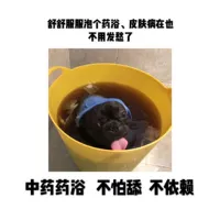 Китайская медицина бани для любимых кошек и собак.