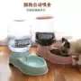 Pet mèo nước quả tự động trung chuyển mèo thức ăn cho chó bát nước uống nước treo mèo vật nuôi cần thiết hàng ngày - Cat / Dog hàng ngày Neccessities Khay đựng thức ăn cho chó