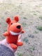 Собака