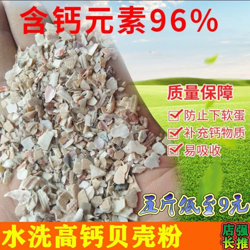 Натуральный высококачественный грубый порошок раковины, курица, утиные голубые голубы