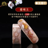 Коралловая натуральная природная руда, защитный амулет, пряжка, браслет из бусин