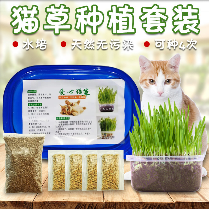 猫の草 種子 猫 水耕栽培 種子 植栽 セット 行く 毛玉 猫のスナック 猫ミント 植え付け可能可能 4 時間 中国仕入れ Com