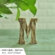 Буква M