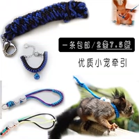 [Бесплатная доставка кожи] Белка расщепление веревки демон король Huangshan Snowfield Squirrel Продукты Тренировка