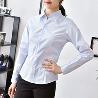Осенняя рубашка, приталенный корсет, комбинезон, в корейском стиле, длинный рукав, V-образный вырез