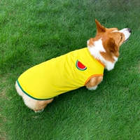 Желтый арбуз