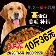 Số lượng lớn thức ăn cho chó 10 kg Bomei VIP Teddy Satsuma Mái tóc vàng làm đẹp tóc canxi vào con chó 5KG