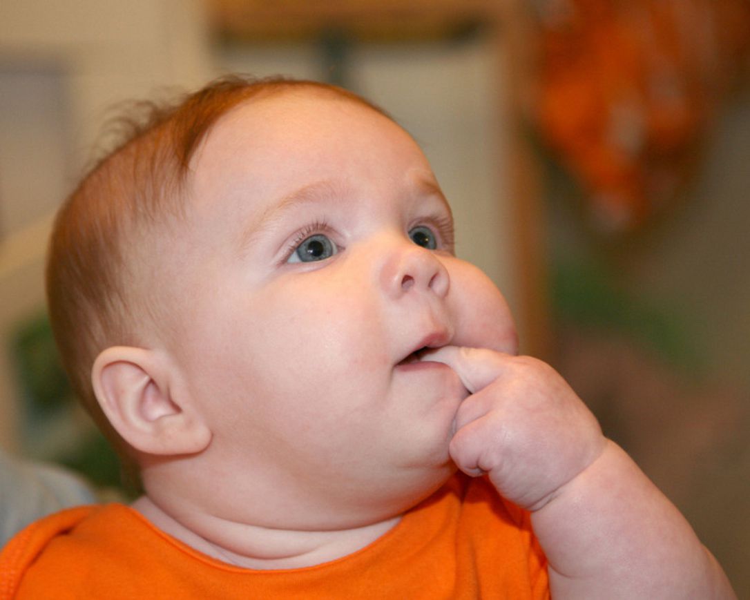 宝宝胖嘟嘟很可爱,但其中隐患你了解吗?