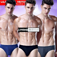 Quần áo nam đầy đủ 5, đồ lót nam, quần đùi, quần, quần short, bông, cotton, sexy, mùa hè 3 quan sip