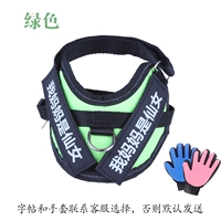 Зеленые перчатки с поводком, тетрадь