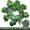 Mô phỏng trần lá mây trang trí lá xanh phòng khách nhựa giả hoa màu xanh lá cây ống nước quanh co cây nho - Hoa nhân tạo / Cây / Trái cây