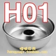 H01